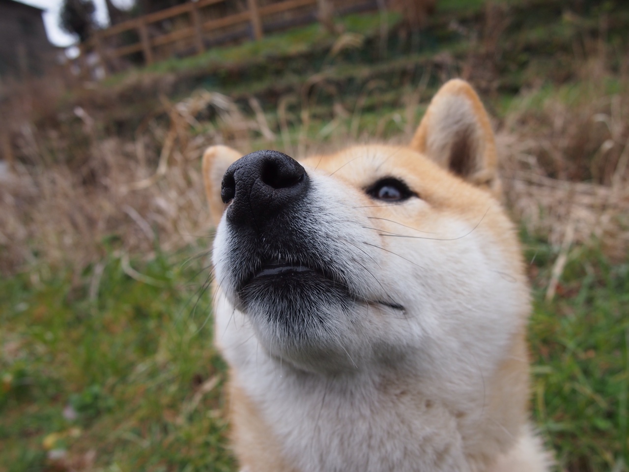 凯尔特人在节节败退中稳住局势，塔图姆的连续得分成为胜负转折关键！
