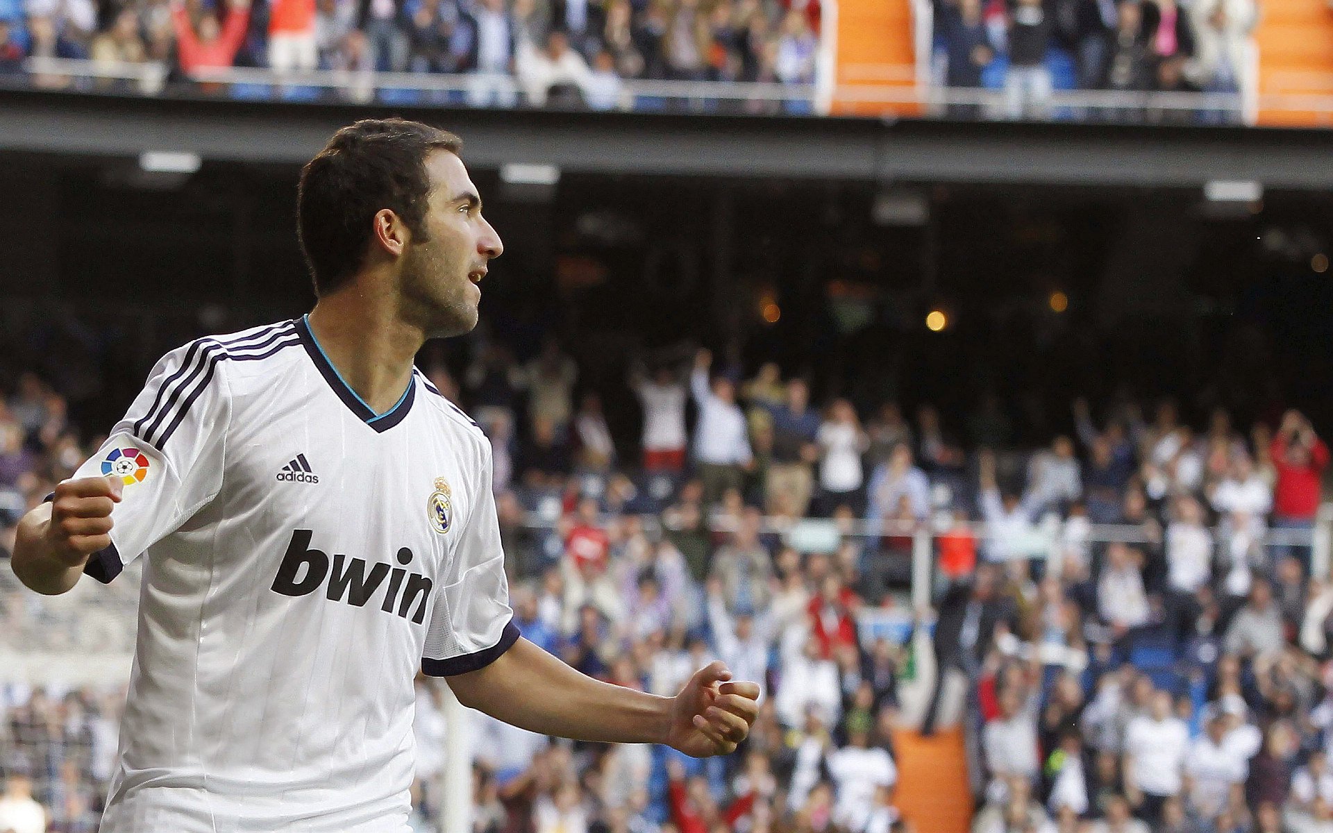 未来足球场馆采用可再生能源,追求碳中和目标,足球场建设补贴试点城市