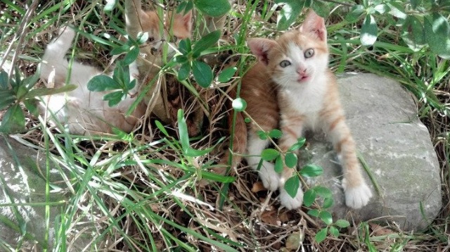 全国青少年“挑战极限”户外篮球趣味赛在西藏拉开序幕,激发青少年勇气